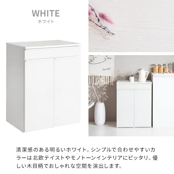 分別ドロワーダストボックス NotT ノット DB-F2200 幅60cm 奥行42cm 高さ80cm