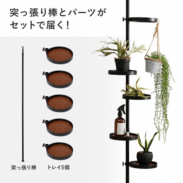 突っ張り棒&パーツ 6点セット 丸型 ウォールラック KTR-3116 幅43cm 奥行43cm 高さ187~264cm