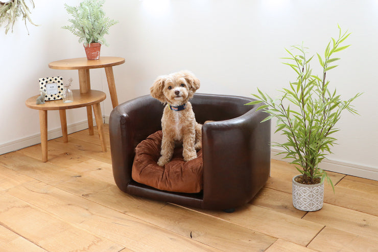 ペットベッド ペットソファ PETTO JUNO ジュノ 幅66cm 奥行き54cm 高さ38cm