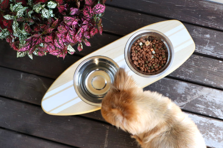 フードボウル ペットフード PETTO SURFPLATE サーフプレート 幅30cm 奥行き15cm 高さ12cm