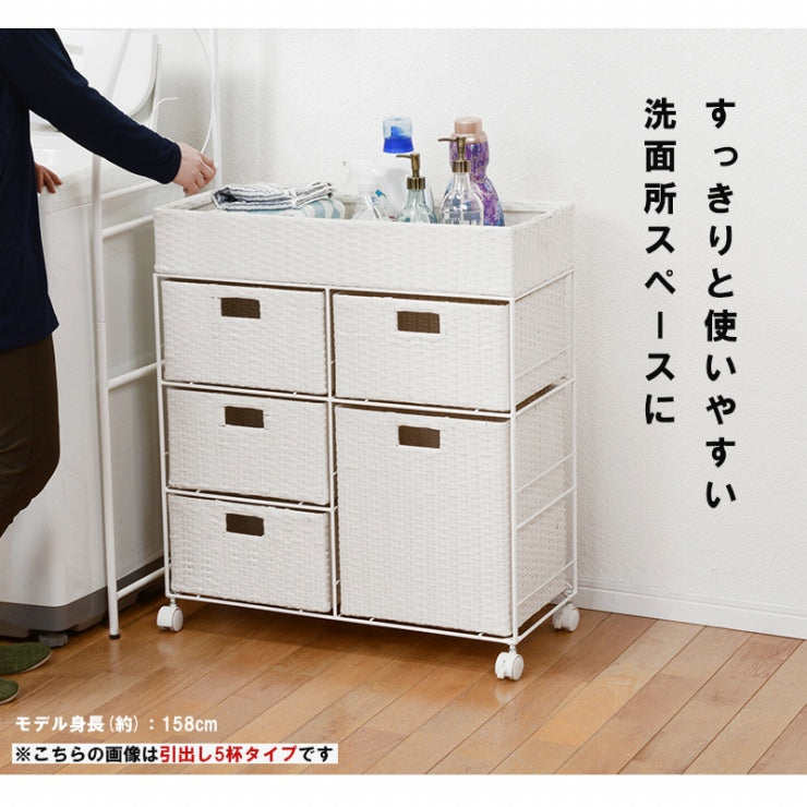 ランドリーラック 2列 RAN-2418 幅70.5cm 奥行き30.5cm 高さ99.5cm