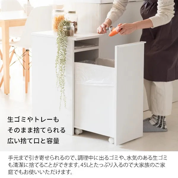 ドロワーダストボックス NotT ノット DB-F1200 幅30cm 奥行45.5cm 高さ70cm