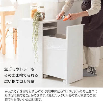 ドロワーダストボックス NotT ノット DB-F1200 幅30cm 奥行45.5cm 高さ70cm