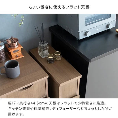 スリムダストボックス Santia サンティア DB-F170 幅17cm 奥行44.5cm 高さ80cm