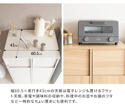 分別キャスターダストボックス Helios ヘリオス DB-F2100 幅60.5cm 奥行き43cm 高さ90cm