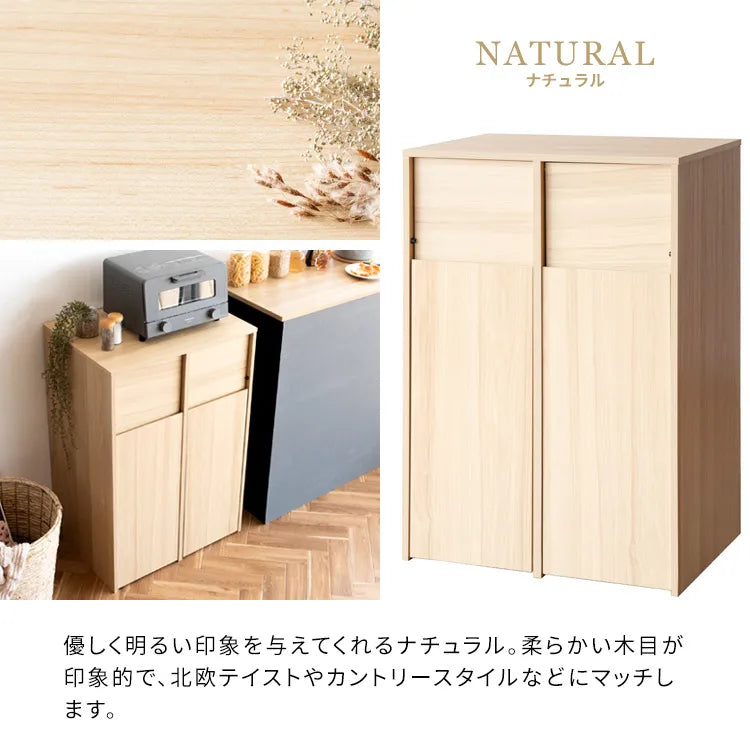 分別キャスターダストボックス Helios ヘリオス DB-F2100 幅60.5cm 奥行き43cm 高さ90cm