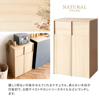分別キャスターダストボックス Helios ヘリオス DB-F2100 幅60.5cm 奥行き43cm 高さ90cm