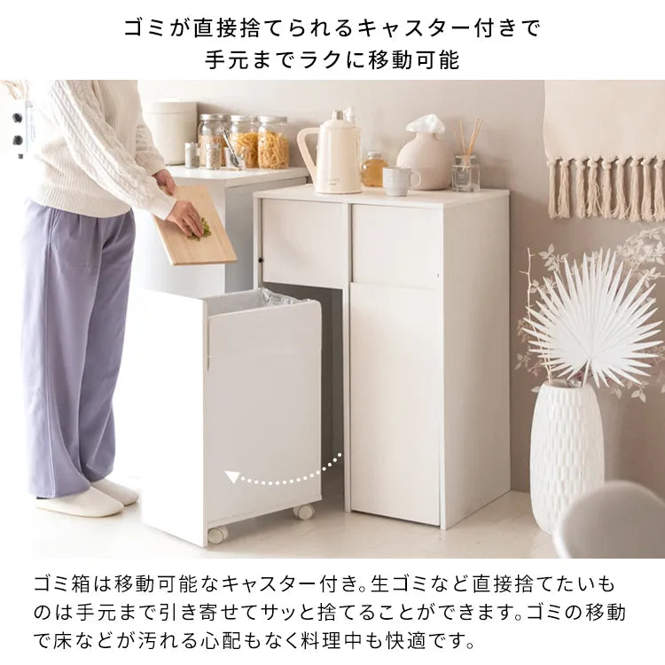 分別キャスターダストボックス Helios ヘリオス DB-F2100 幅60.5cm 奥行き43cm 高さ90cm