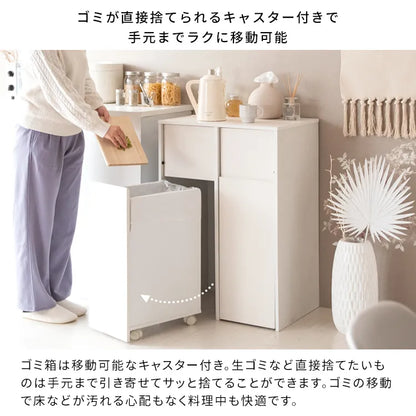 分別キャスターダストボックス Helios ヘリオス DB-F2100 幅60.5cm 奥行き43cm 高さ90cm