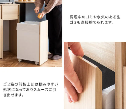 分別キャスターダストボックス Helios ヘリオス DB-F2100 幅60.5cm 奥行き43cm 高さ90cm