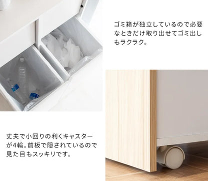 分別キャスターダストボックス Helios ヘリオス DB-F2100 幅60.5cm 奥行き43cm 高さ90cm