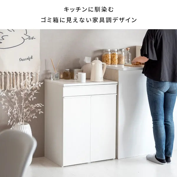 分別ドロワーダストボックス NotT ノット DB-F2200 幅60cm 奥行42cm 高さ80cm