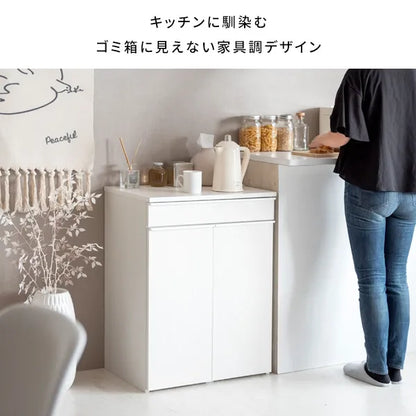 分別ドロワーダストボックス NotT ノット DB-F2200 幅60cm 奥行42cm 高さ80cm