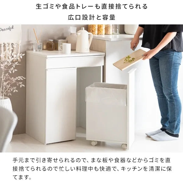 分別ドロワーダストボックス NotT ノット DB-F2200 幅60cm 奥行42cm 高さ80cm