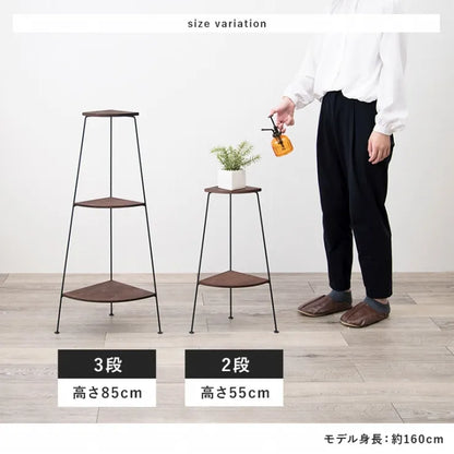 ラック KR-3846 幅25.5cm 奥行き25.5cm 高さ55cm