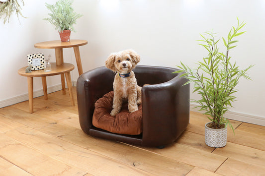 ペットベッド ペットソファ PETTO JUNO ジュノ 幅66cm 奥行き54cm 高さ38cm