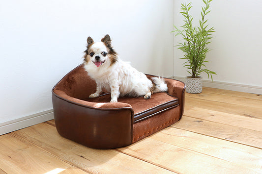 ペットベッド ペットソファ PETTO PEPE ペペ 幅65.5cm 奥行き45.5cm 高さ35.5cm