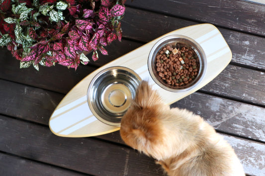フードボウル ペットフード PETTO SURFPLATE サーフプレート 幅30cm 奥行き15cm 高さ12cm