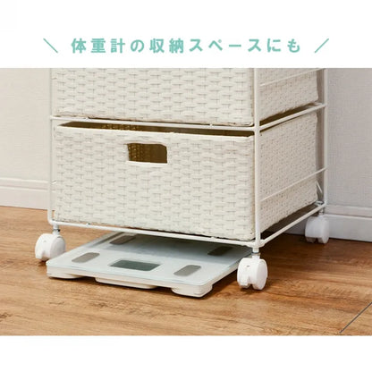 ランドリーラック RAN-2411 幅40.5cm 奥行30.5cm 高さ85cm