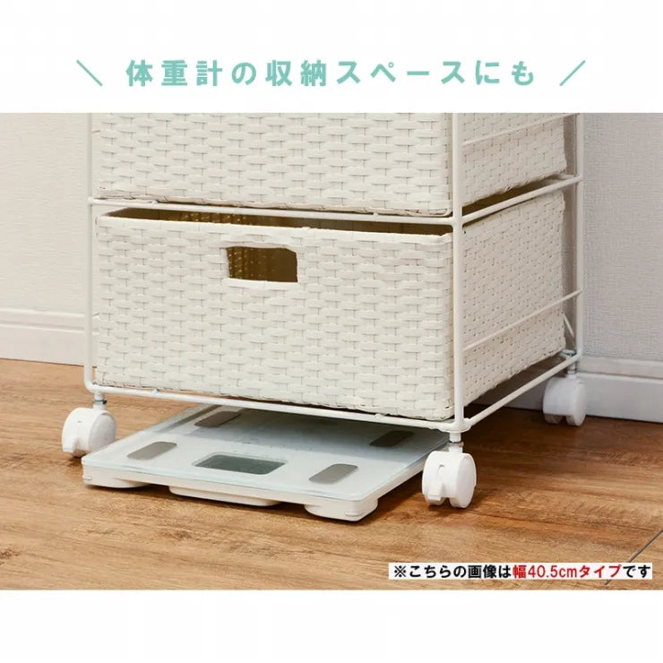ランドリーラック RAN-2412 幅50.5cm 奥行30.5cm 高さ85cm