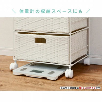 ランドリーラック RAN-2412 幅50.5cm 奥行30.5cm 高さ85cm