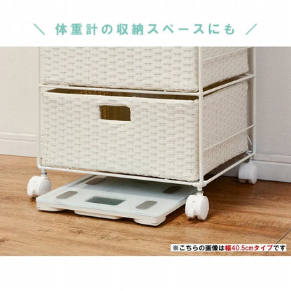 ランドリーラック RAN-2413 幅60.5cm 奥行き30.5cm 高さ85cm