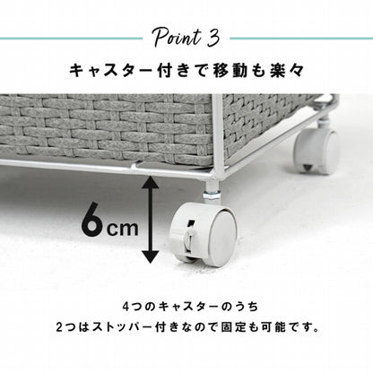 ランドリーラック 2列 RAN-2418 幅70.5cm 奥行き30.5cm 高さ99.5cm