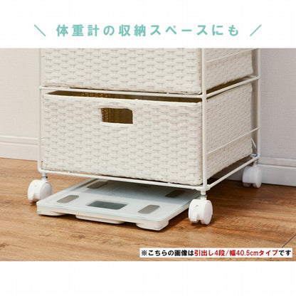 ランドリーラック 2列 RAN-2418 幅70.5cm 奥行き30.5cm 高さ99.5cm