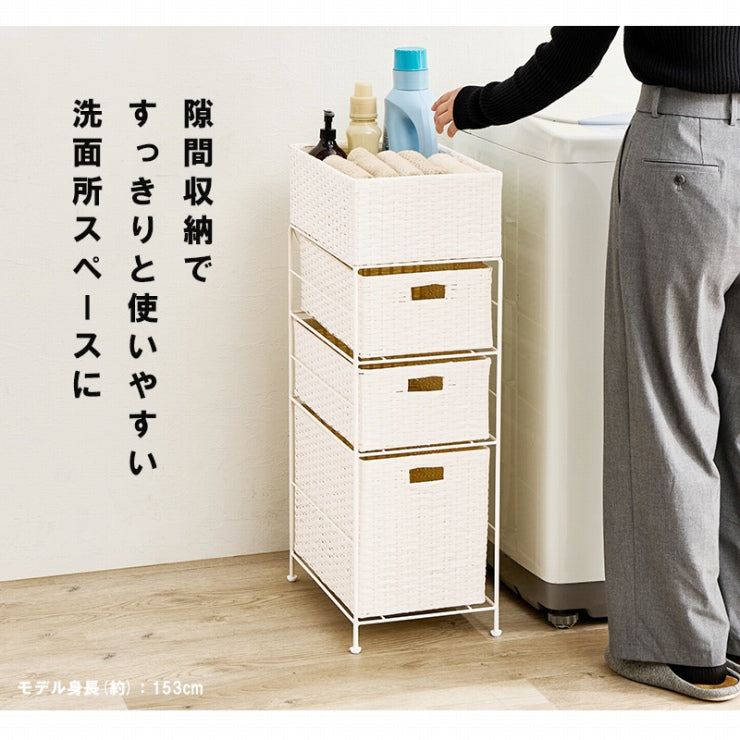ランドリーラック RAN-2420 幅25.5cm 奥行き40.5cm 高さ80cm