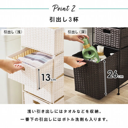 ランドリーラック RAN-2420 幅25.5cm 奥行き40.5cm 高さ80cm
