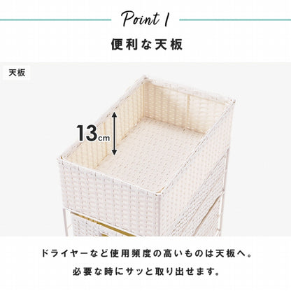 ランドリーラック RAN-2421 幅25.5cm 奥行き40.5cm 高さ95.5cm