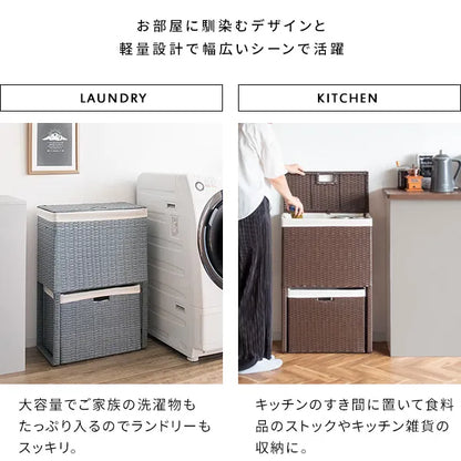 ランドリーボックス Diario ディアリオ RB-500 幅50cm 奥行き25cm 高さ80cm