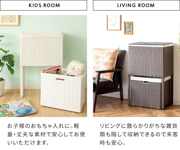 ランドリーボックス Diario ディアリオ RB-500 幅50cm 奥行き25cm 高さ80cm