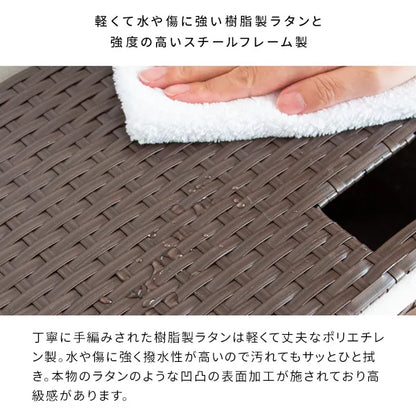 ランドリーボックス Diario ディアリオ RB-500 幅50cm 奥行き25cm 高さ80cm
