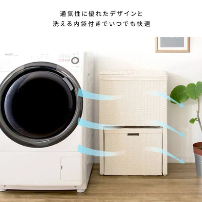 ランドリーボックス Diario ディアリオ RB-500 幅50cm 奥行き25cm 高さ80cm
