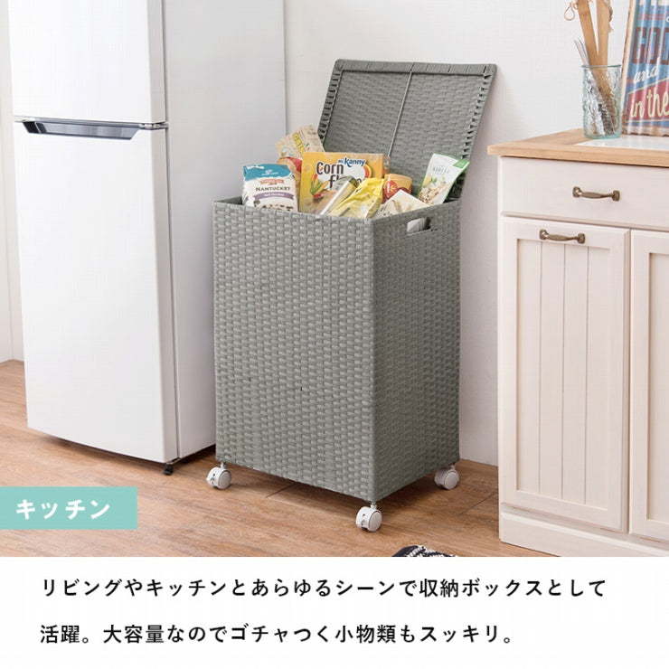 キャスター付き収納ボックス RUD-2422 幅50cm 奥行き38cm 高さ67cm