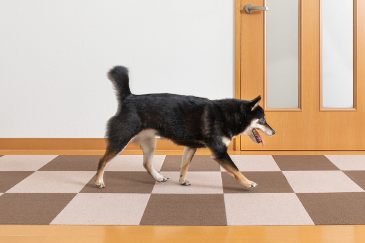 おくだけ吸着 はっ水 吸着マット 30×30cm 8枚入り 1セット 薄さ4mm ペットマット 日本製 国産 カット可 床暖房対応 洗濯OK タイルカーペット ラグ マット 床保護 滑り止めマット