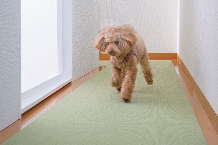 おくだけ吸着 はっ水 ペット用床保護マット 60×240cm 薄さ4mm 吸着マット ペットマット 大判 日本製 国産 カット可 床暖房対応 –  Cdare